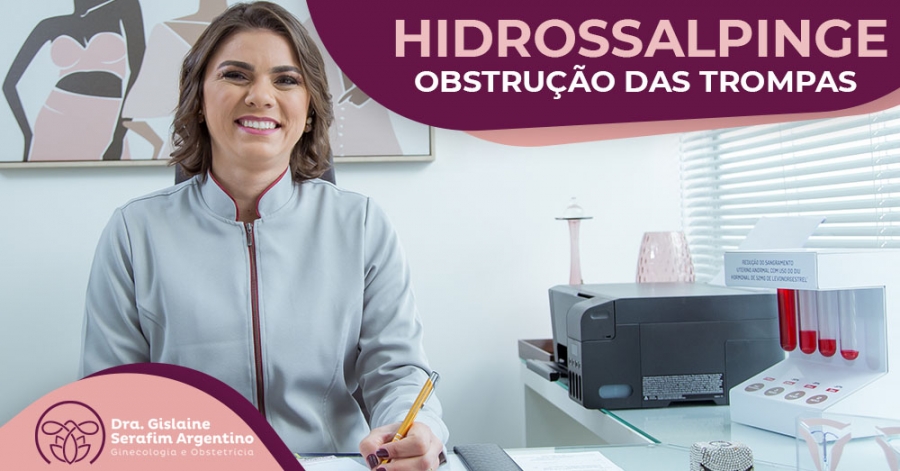 Hidrossalpinge Obstrução das Trompas Dra Gislaine Argentino Ginecologista Obstetra
